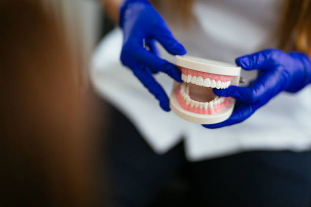 Best Preventive Dentistry  in Olyphant, PA